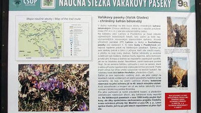 Vařákovy paseky I.