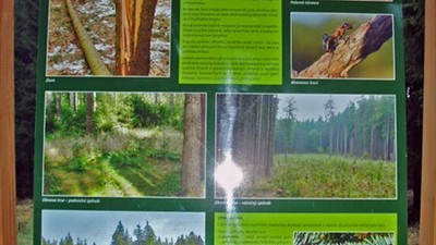 Naučná stezka Vejprty