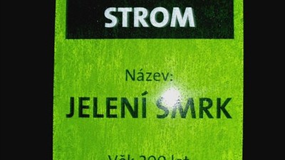 Naučná stezka Vejprty