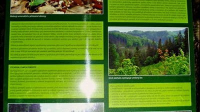 Naučná stezka Vejprty