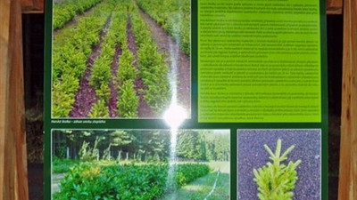 Naučná stezka Vejprty