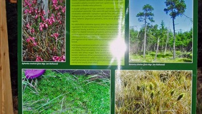 Naučná stezka Vejprty