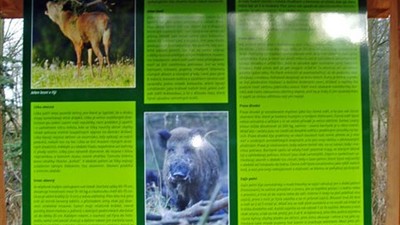 Naučná stezka Vejprty