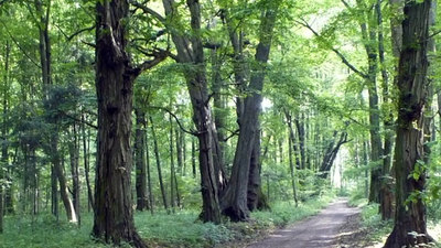 Bažantnice – Obora