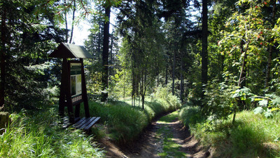 Deštné v Orlických horách