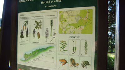 Deštné v Orlických horách