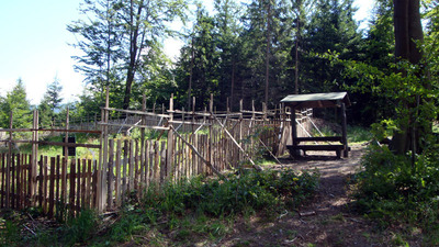 Deštné v Orlických horách