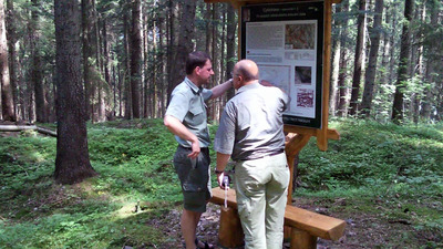 Po stopách středověkého dolování zlata