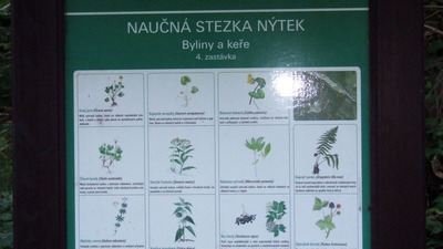 Nýtek