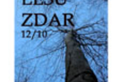 Archív ročníku 2010