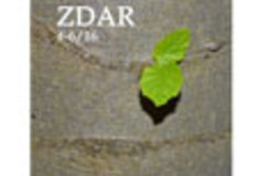 Archív ročníku 2016