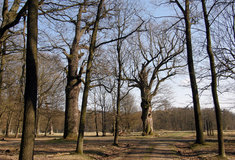 Příprava souhrnu doporučených opatření v evropsky významné lokalitě Náměšťská obora