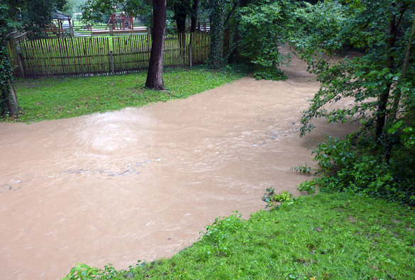 Pohádková obora v době dešťů