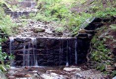 Ochrana před povodněmi začíná v lese