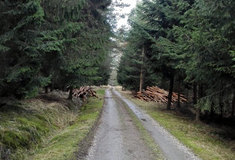 Novou etapu ochrany zemědělské a lesní půdy zahajuje spolupráce Státního pozemkového úřadu a Lesů ČR