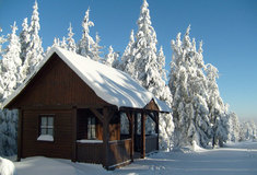 Lesní komplex Javořice v Kraji Vysočina se díky Lesům ČR pyšní novým arboretem a třemi turistickými přístřešky