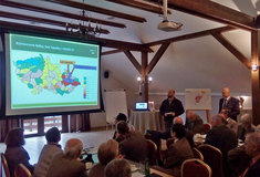 Smrky na severní Moravě a v jižním Polsku odumírají. Lesníci hledají řešení