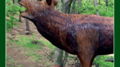 Lesnická naučná stezka Okolo Buchlova