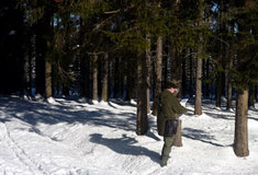 Odborný lesní hospodář