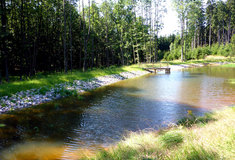 Evropský projekt zlepšil rybám a obojživelníkům životní podmínky