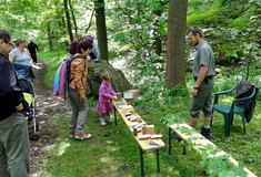 Tradiční jarní Den s LČR v Opárenském údolí