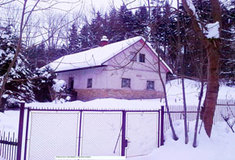 Historie Opatovského dvora