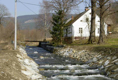 Projekt Lesů ČR: volná rybí cesta v Opavici