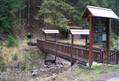 STOVKAMI MILIONŮ KORUN LESY ČR PODPORUJÍ VEŘEJNĚ PROSPĚŠNÉ FUNKCE LESŮ