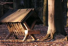 Péče o zvěř v době nouze