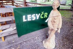 Zlatá hoblina ve Zlatých Horách