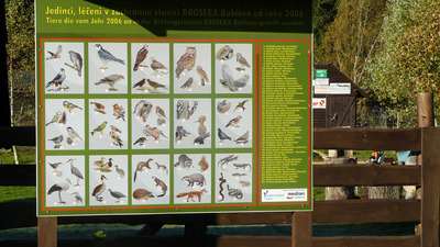 Příroda kolem nás