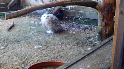 Příroda kolem nás