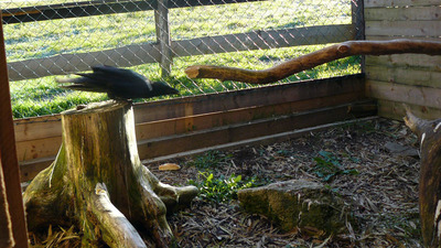 Příroda kolem nás