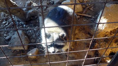 Příroda kolem nás