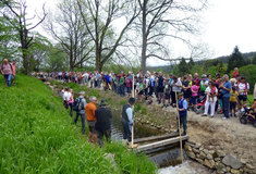 Lesy ČR pokračují v průběžných obnovách částí známého jihočeského Schwarzenberského plavebního kanálu