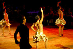 15. reprezentační lesnický ples