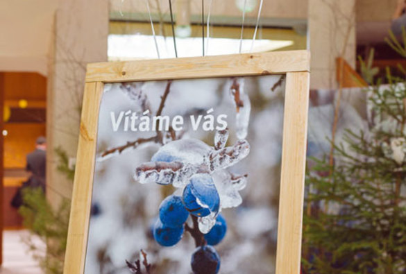 21. lesnický reprezentační ples