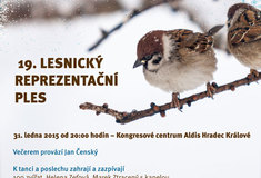 19. reprezentační lesnický ples