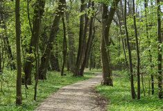 Naučná stezka Pod Kraveckým zámkem