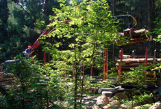 Obchodní model „P“