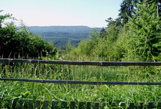 Poznejte krásu Přírodního parku Džbán