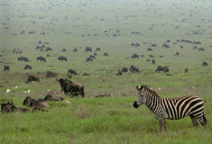 Nové odborné publikace a knihy – září 2010