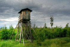 Jak budou Lesy ČR pronajímat honitby?