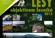Lesy KŘ Šumperk objektivem lesníků 2013