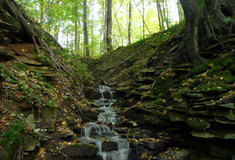 Přírodní rezervace Hemže – Mýtkov