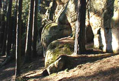 Přírodní rezervace  Toulovcovy  Maštale