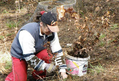 Podnik Lesy ČR dal práci nezaměstnaným