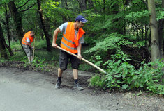 Nezaměstnaní pomáhají v lese