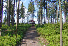 Pozvánka na otevření zastřešení Myšího pramene – Program 2020 slouží také návštěvníkům lesa