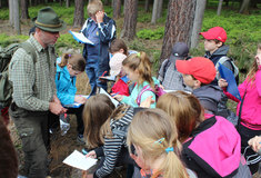 Prima se učí v lese